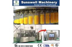 China Small Capacity Hot Filling Machine 3 In 1 Automatic With Rotary Rinser supplier