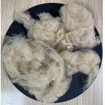 Recycled Polyester Staple Fiber 5D 51mm Beige Grade A for sale