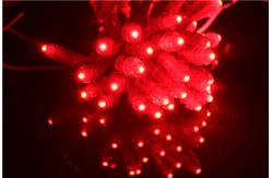 China Miracle Bean EPISTAR IP67 12V 0.15W 9mm Led Pixel String Lights supplier