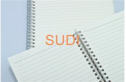 China Single Binding Wire 80 Sheets 70gsm Loose Leaf Spiral Notebook supplier
