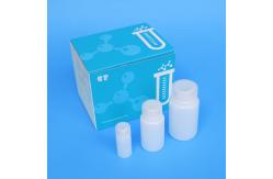 China OEM PCR Nucleic Acid Purification Kit For Laboratory Detection supplier