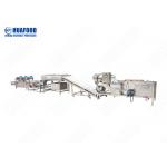 Ozone Lettuce Coconut Green Root Leaf Fruit Processing Machinery for sale