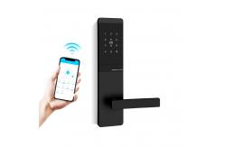 China TTM727  TThotel / TTLOCK App Smart password door Locks supplier