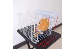 China Rustproof Wire Mesh Container Galvanized Wire Rabbit Cages 52*32*40cm supplier