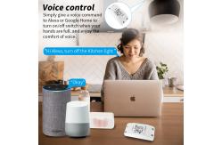 China Tuya Alexa Timing Wifi Operated Switch Controller Module supplier
