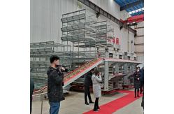 China 4 Layers 2mm Battery Cage Poultry Egg Collection System ISO9001 Certificated supplier