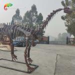 CE Jurassic Park Dinosaur Skeleton Replica Shunosaurus Skeleton weather reistance for sale