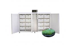China 250kg/d Commercial Seed Germination Machine Automatic Bean Seed Sprout Machine supplier
