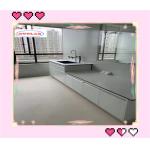 Customized Made Chemical Lab Workbenches With Wooden Base Cabinet Epoxy Resin Sink for sale