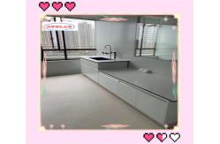 China Customized Made Chemical Lab Workbenches With Wooden Base Cabinet Epoxy Resin Sink supplier
