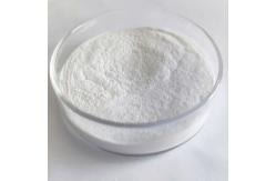 China Highly Active Endo Bakery Enzyme Xylanase In Food For Flour Improvement supplier