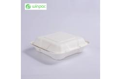 China Sustainable Compostable Sugarcane Bagasse Clamshell Takeaway Containers 8 Inch supplier