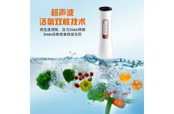 China Office home Ultrasonic fruit and vegetable washer ozone 10w Rated power supplier