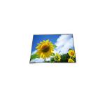 15.6 inch C156HAX04.0 1920*1080 FHD LCD Screen Panel for sale