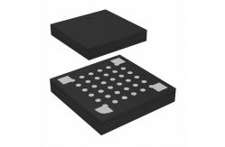 China R5F51113ADLM#UA IC MCU 32BIT 64KB FLASH 36WFLGA Renesas Electronics America Inc supplier