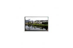 China NEW 8.0 inch DD080IA-20A 1280*720 LCD screen Panel supplier