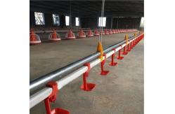 China Chicken Poultry Automatic Pan Feeding System Nipple Drinking Line supplier