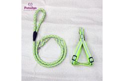 China Smart Light Up 5m Pet Collar And Leash For Dog supplier