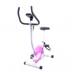 Adjustable Seat Foldable Spinning Bike For Exercising Home Use for sale