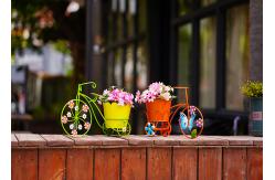 China Multiple Design Metal Garden Pot Home Furnishings Customizable supplier