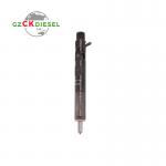 Diesel Fuel Injector EJBR03101D 166001137R for Delphi Engine