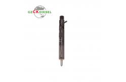 China Diesel Fuel Injector EJBR03101D 166001137R for Delphi Engine supplier