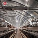Hot Dip Galvanized H Type Automatic Layer Chicken Cage System for sale