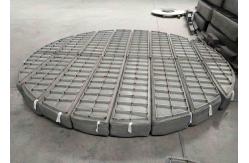 China Alloy 20 Material Wire Mesh Mist Eliminator supplier