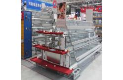 China A Frame Chicken Egg Layer Cages Full Automatic System supplier