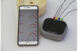 China 60m Wireless Grill Meat Thermometer Remote Monitor With 4 Probes supplier