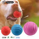 Dog Chew Toys Solid Rubber Balls Elasticity Teeth Cleaning Ball Diameter Solid Durable
