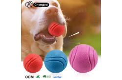 China Dog Chew Toys Solid Rubber Balls Elasticity Teeth Cleaning Ball Diameter Solid Durable supplier