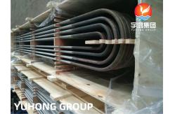 China SMLS U Bend Tube ASTM A213 TP304 Petroleum Heat Exchanger Condenser Chemical Oil supplier
