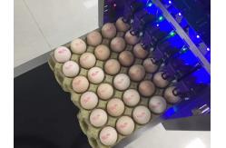 China 1 - 4 Printing Lines Egg Marking Equipment With Green / Red Food Grade Ink supplier
