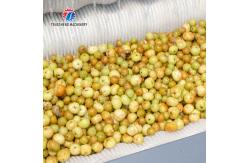 China Carrot Brush Commercial Electric Potato Peeler , Sweet Potato Scraper Machine supplier