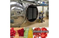 China Energy Saving Vacuum Freeze Drying Machine , Automatic Freeze Dryer supplier