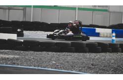 China Remote Control Gears Electrical Go Kart Outdoor 43mm Terrain Clearance supplier