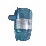 YOKOGAWA AXF Series Electromagnetic Flowmeter Models AXF015 to AXF200