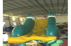 China Pirate Themed Alarge Inflatable Water Toys , Children Giant Inflatable Pool Toys supplier