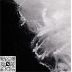 Heat Resistant Virgin Hollow Fiber for Harsh Environments