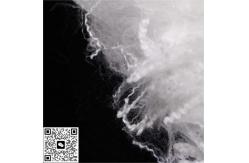 China Heat Resistant Virgin Hollow Fiber for Harsh Environments supplier