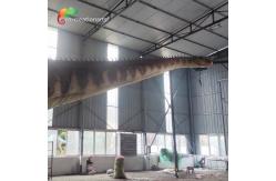 China 26m Giant Animatronic Dinosaur Mamenchisaurus For Jurassic World supplier