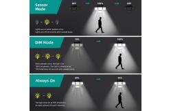 China Solar Powered Motion Sensor Flood Lights Outdoor Waterproof Solar LED Floodlight supplier