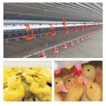 Broiler Nipple Drinker Automatic Chicken Drinker For Poultry Farming Equipment