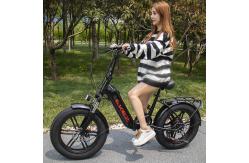 China 40Km/H Lithium Battery Magnesium Alloy Variable Speed Lithium Battery Electric Bicycle supplier
