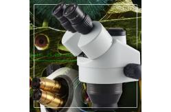 China Opto-Edu Zoom Stereo Digital Optical Microscope WF10x / 20mm Eyepiece supplier