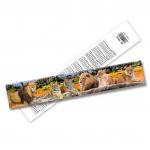 School Students Kids Custom Printed Rulers Stationery 3D Lenticular Ruler