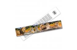China School Students Kids Custom Printed Rulers Stationery 3D Lenticular Ruler supplier