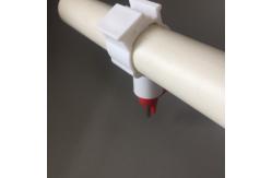 China 15birds Poultry Drinking System Chicken Water Pipe With Lubing supplier