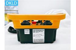 China Network Output Dual Rocker Four Mechanism Five Speed Crane Remote Control supplier